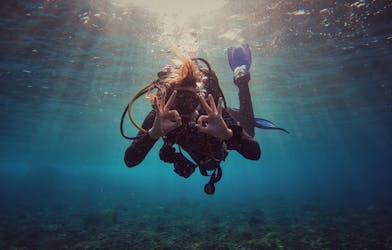 Package 2 dives or 4 dives for certified divers
